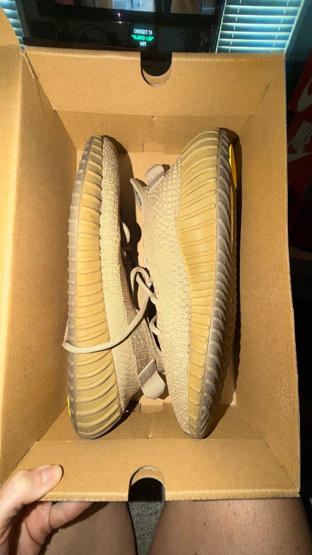 1631 Yeezy 350 “Earth”