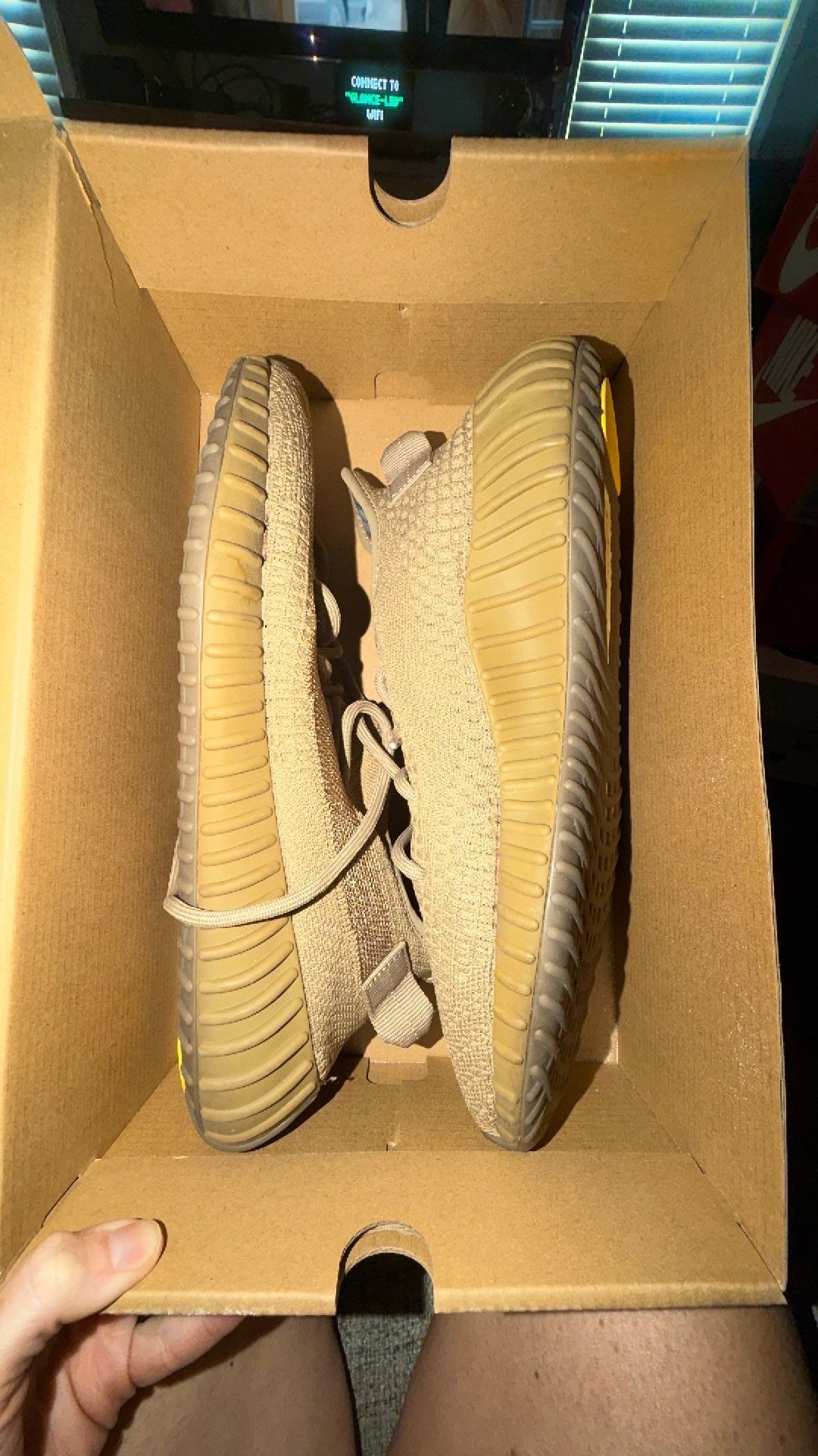 1631 Yeezy 350 “Earth”