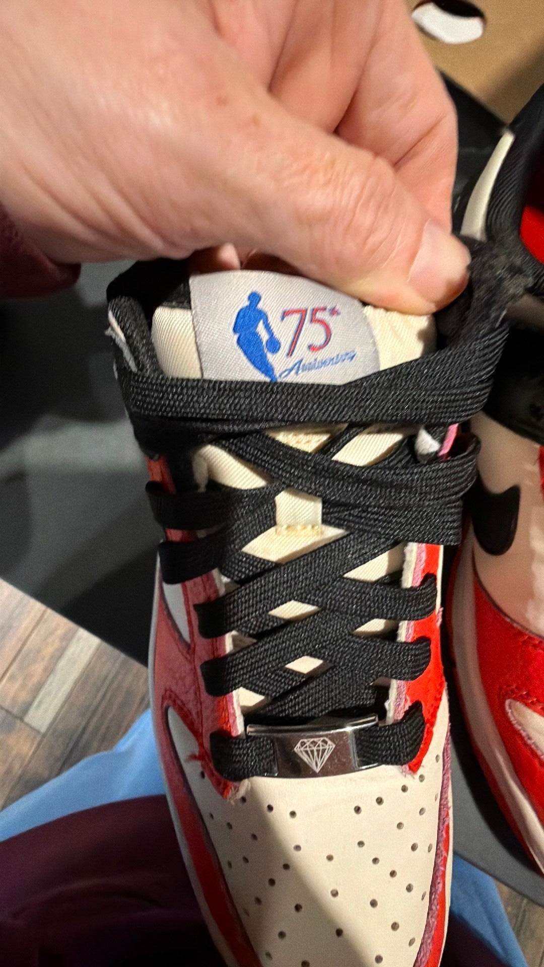 1891 Nike Dunk Low EMB NBA 75th Anniversary Chicago