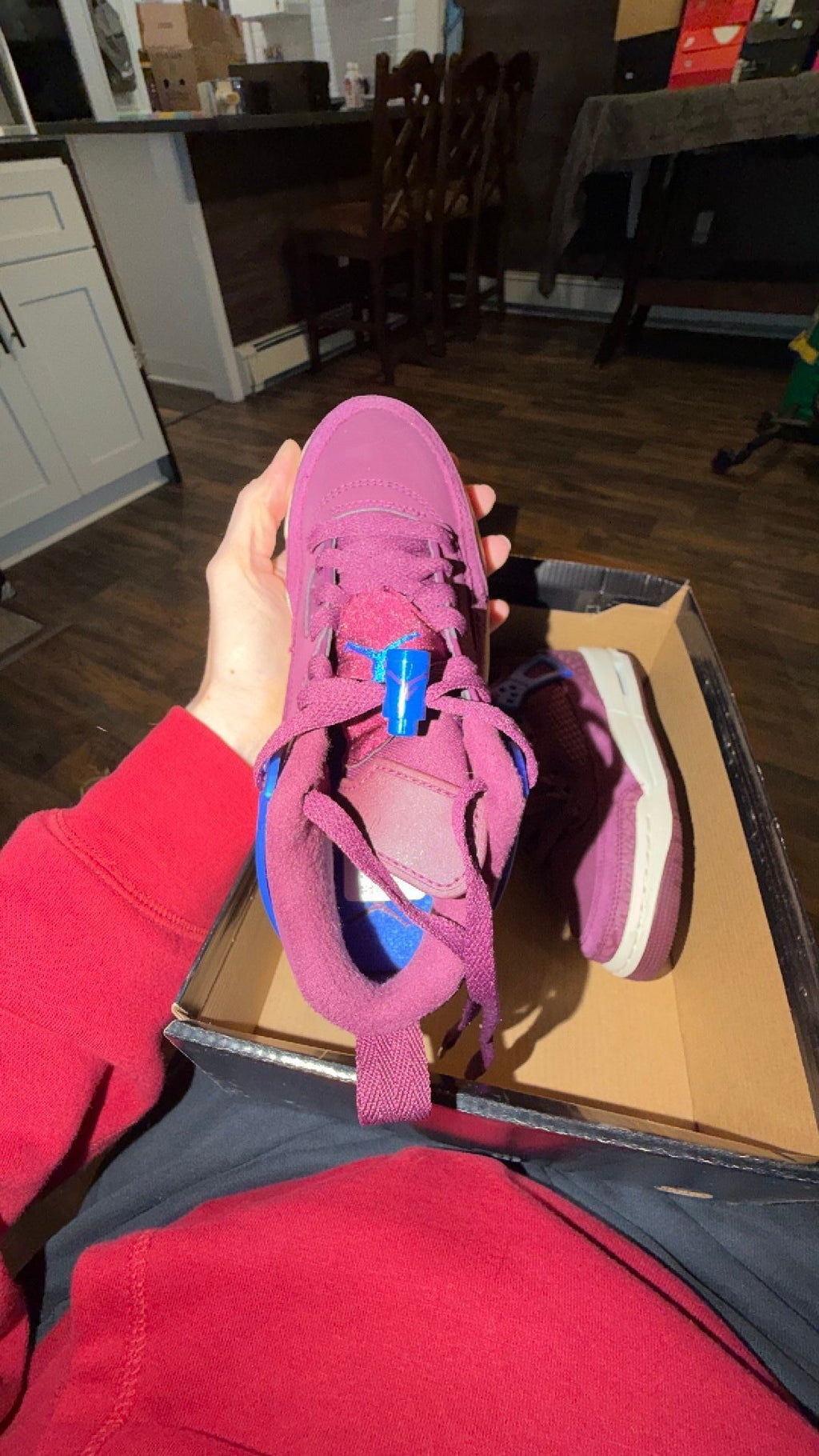 1861 Jordan Spizike Low GS sneakers in a Bordeaux and Hyper Royal