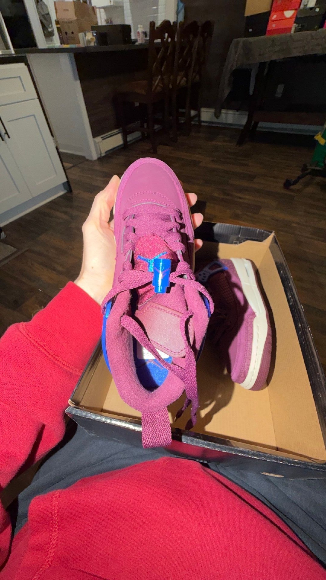 1861 Jordan Spizike Low GS sneakers in a Bordeaux and Hyper Royal