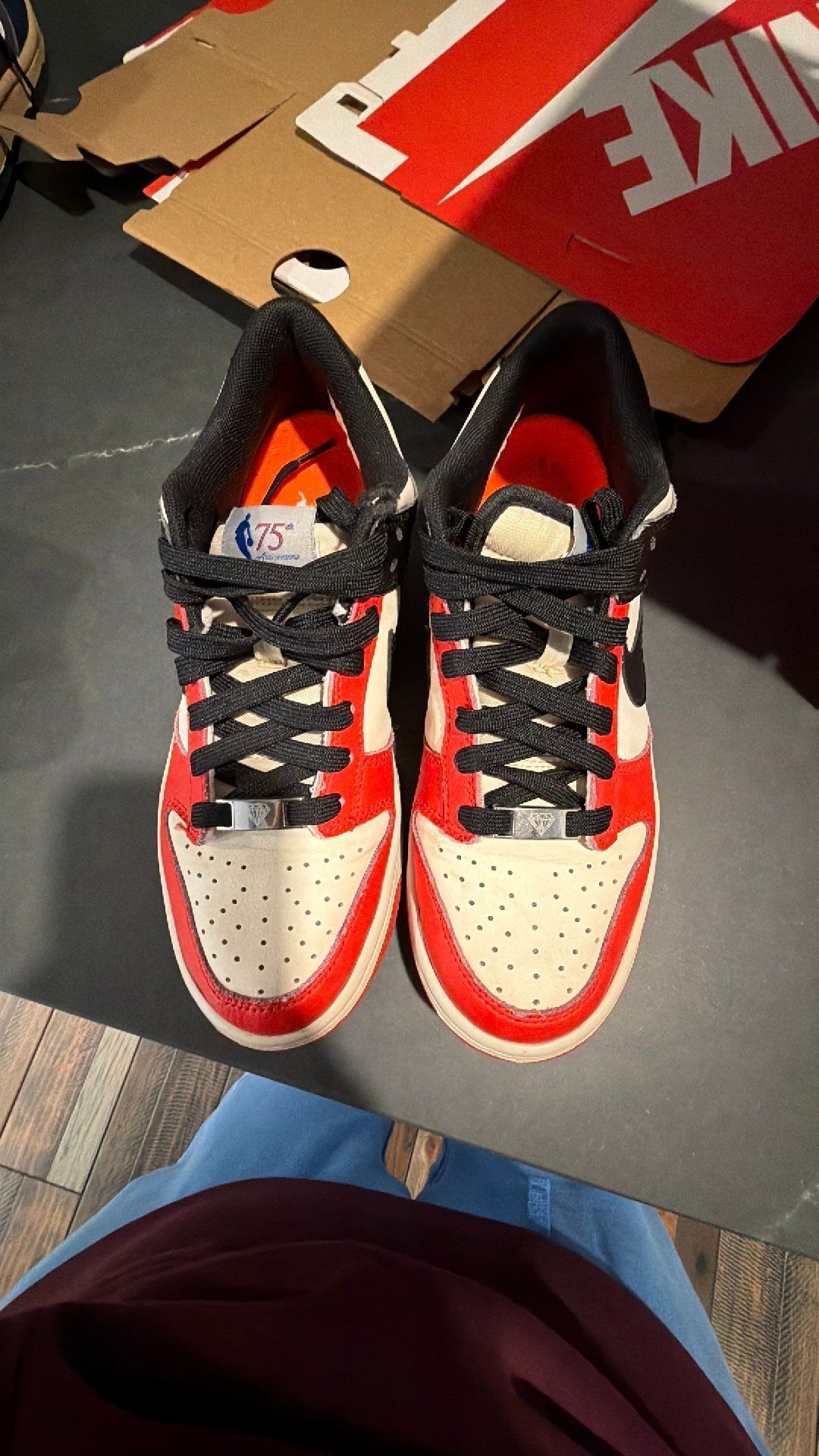 1891 Nike Dunk Low EMB NBA 75th Anniversary Chicago