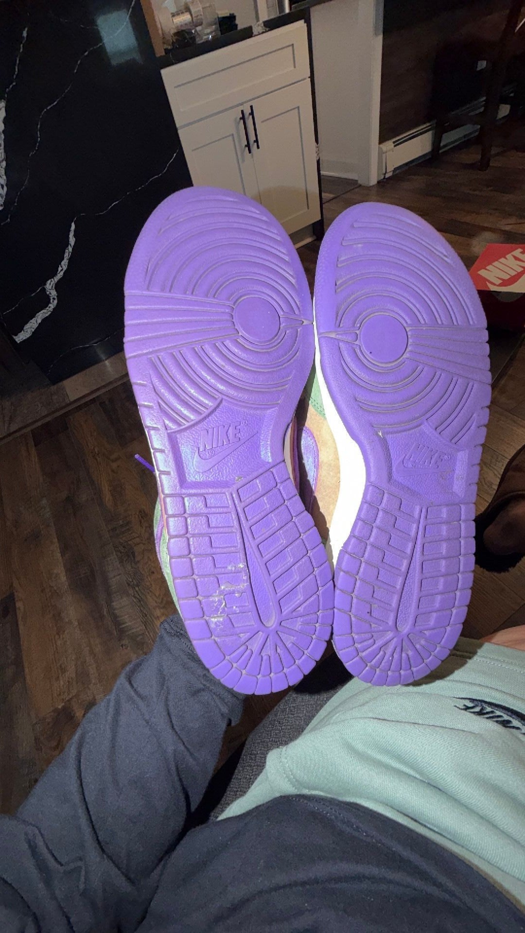1809 Nike Dunk Low SP "Veneer