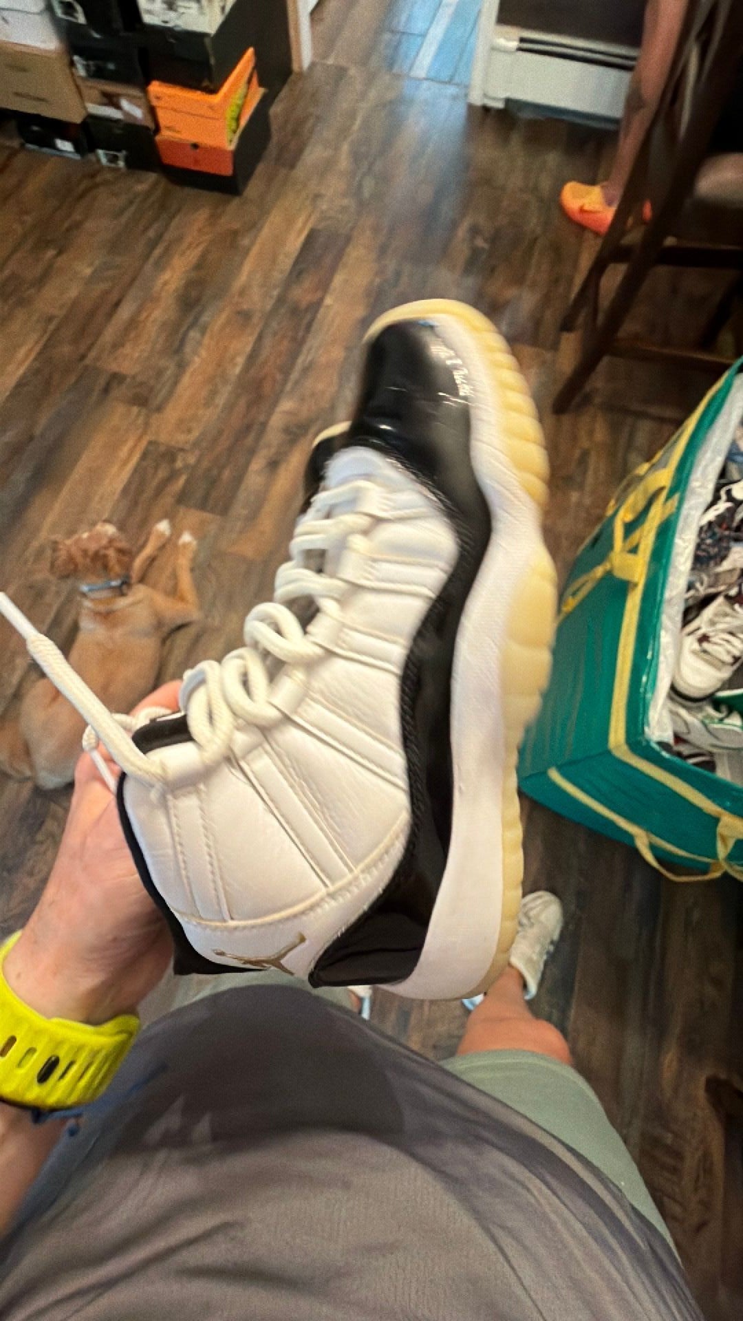 1413 Jordan 11 Concords