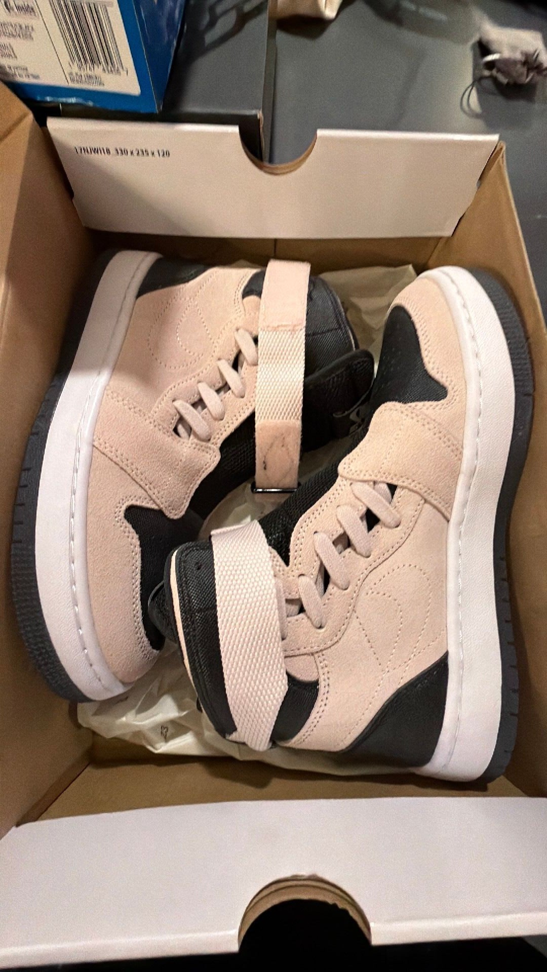 1395 Jordan 1 Nova XX