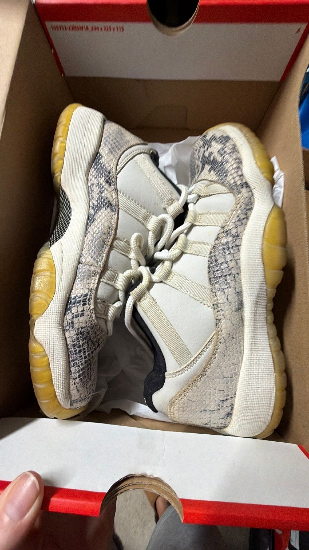 1541 Jordan 11 Snakeskin 7y
