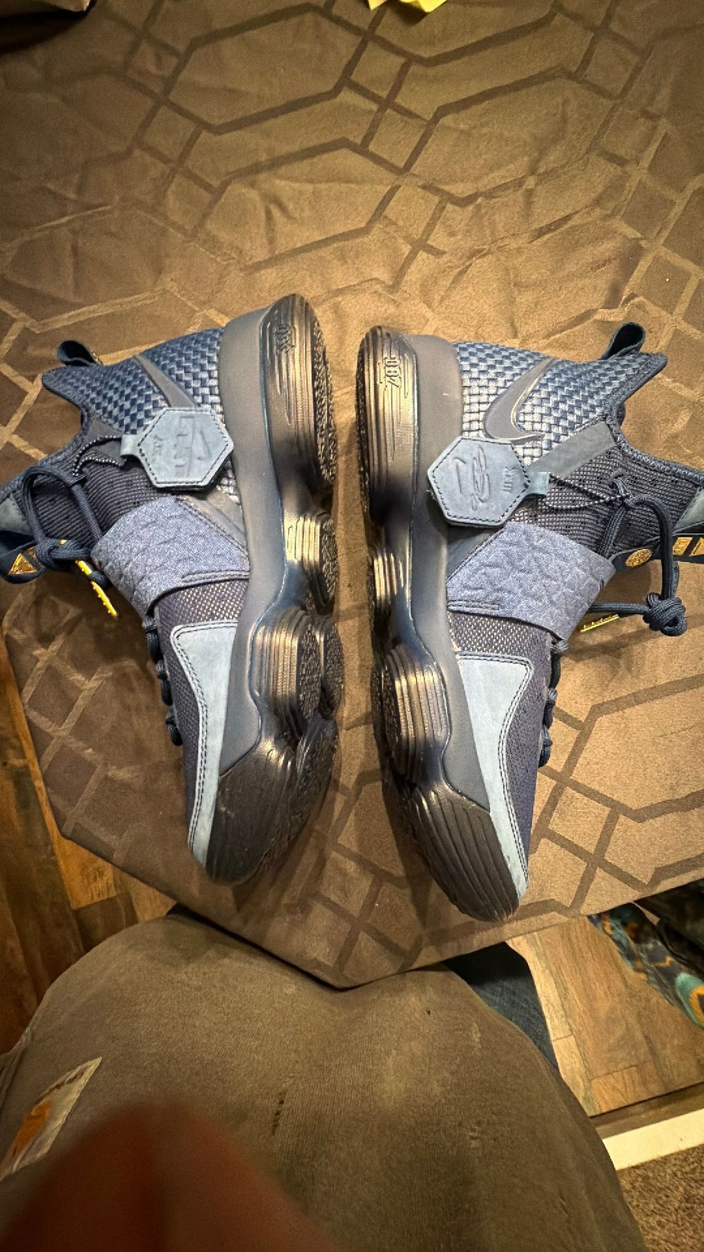 0074 LeBron 14 agimat