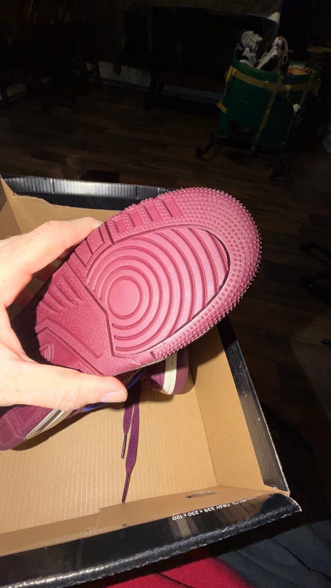 1861 Jordan Spizike Low GS sneakers in a Bordeaux and Hyper Royal