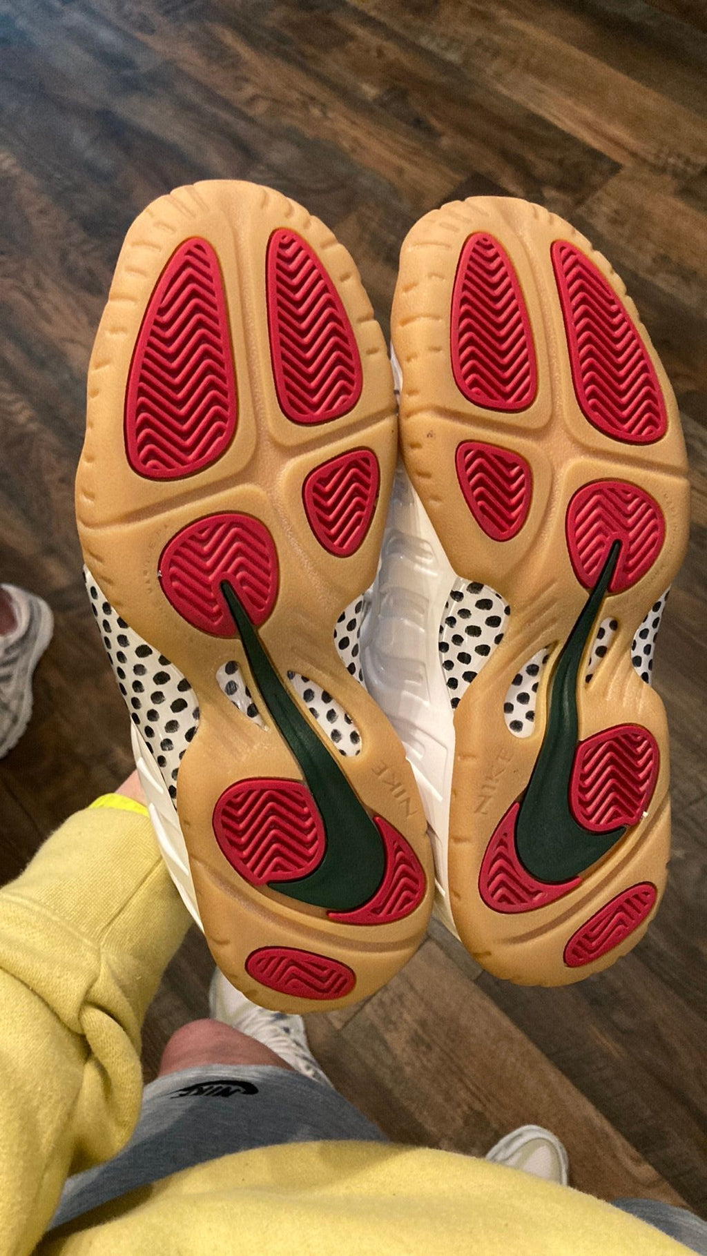 1420 Nike Air Foamposite Pro "Gucci 5y