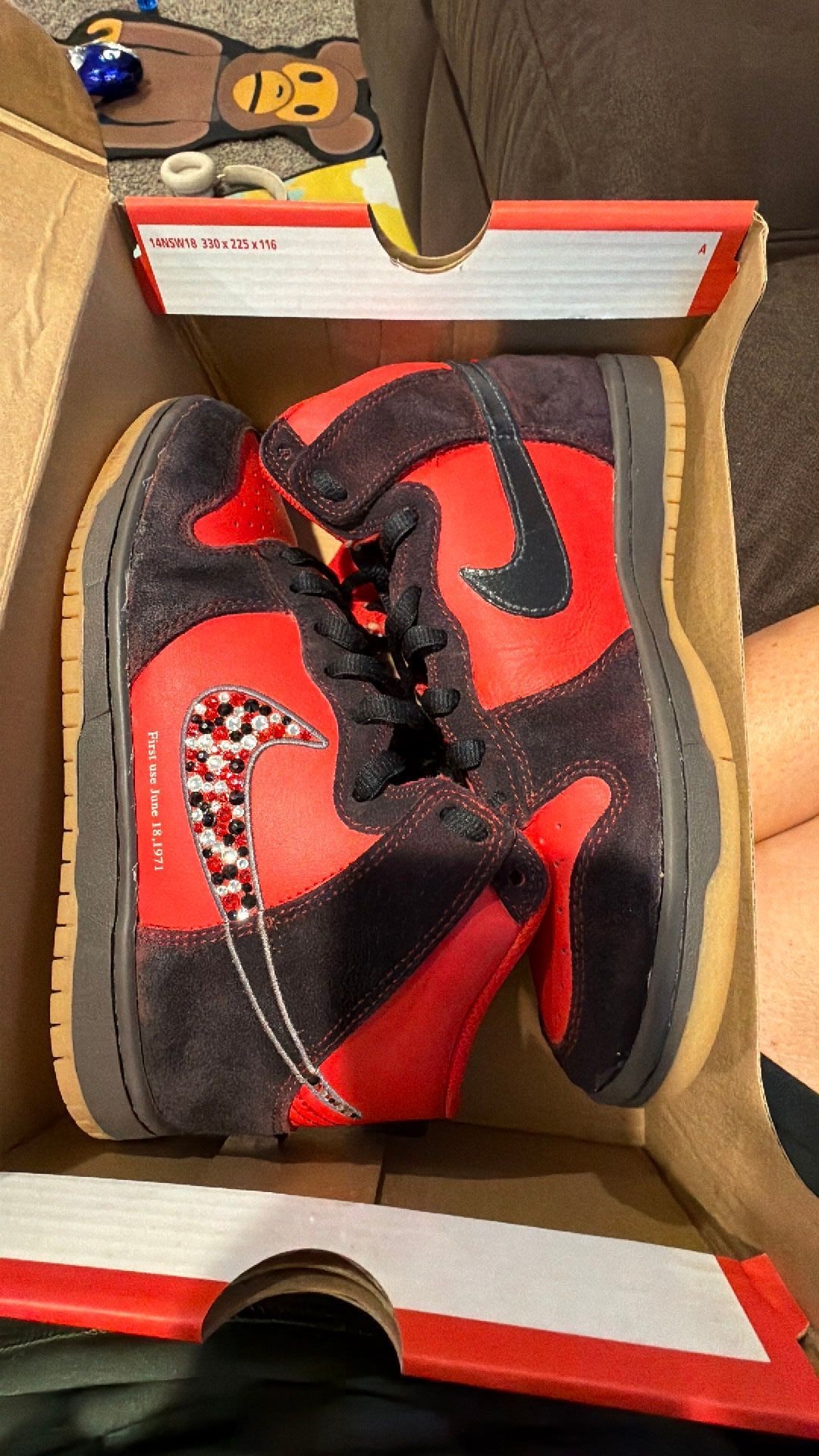 1588 Nike dunk First Use
