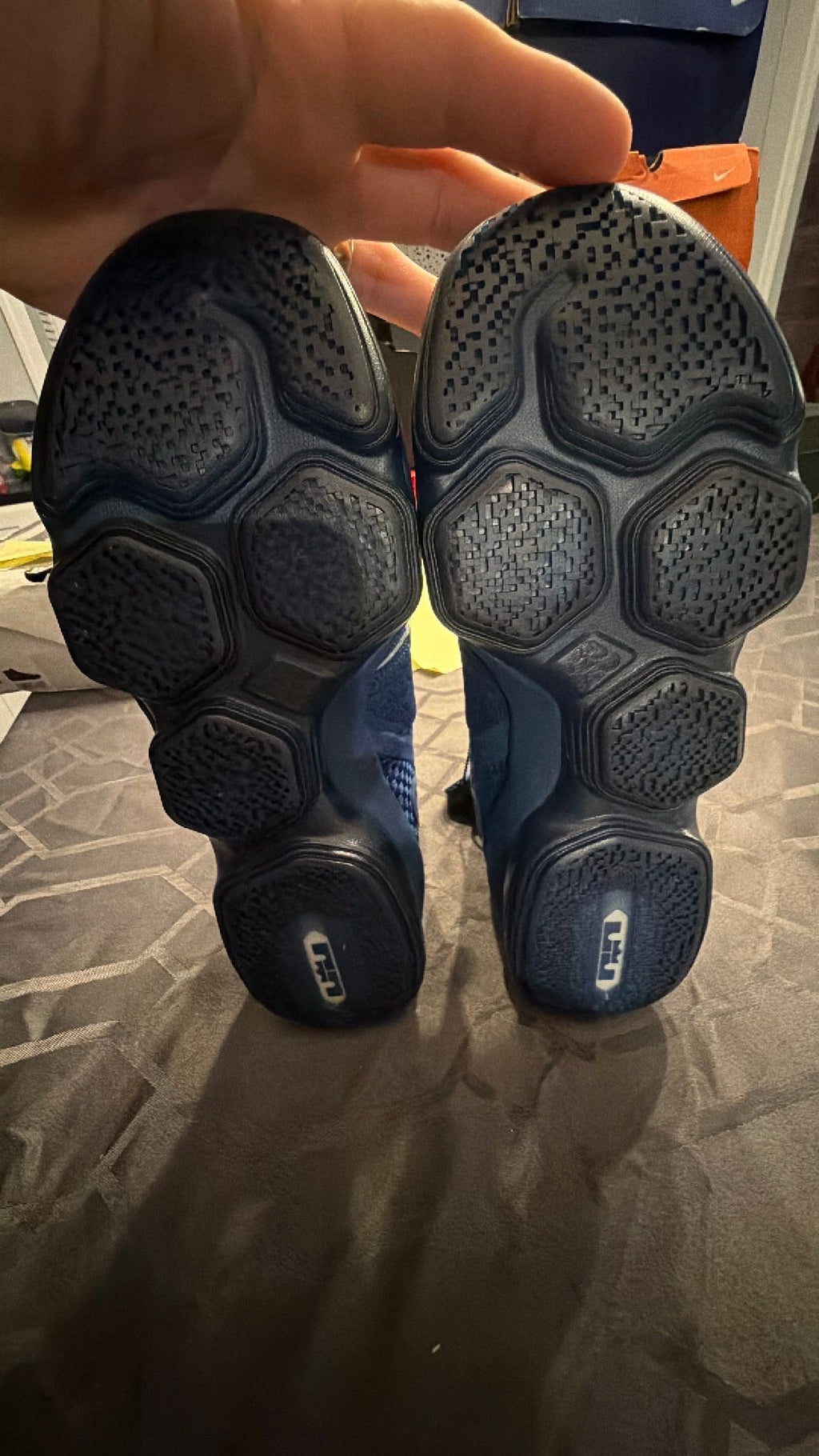 0074 LeBron 14 agimat