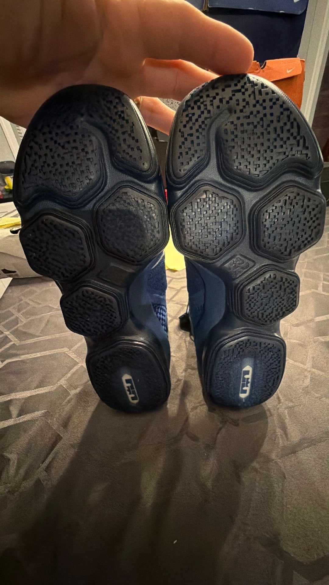 0074 LeBron 14 agimat