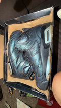 1404 Nike Air Jordan 6 Retro "Chameleon"