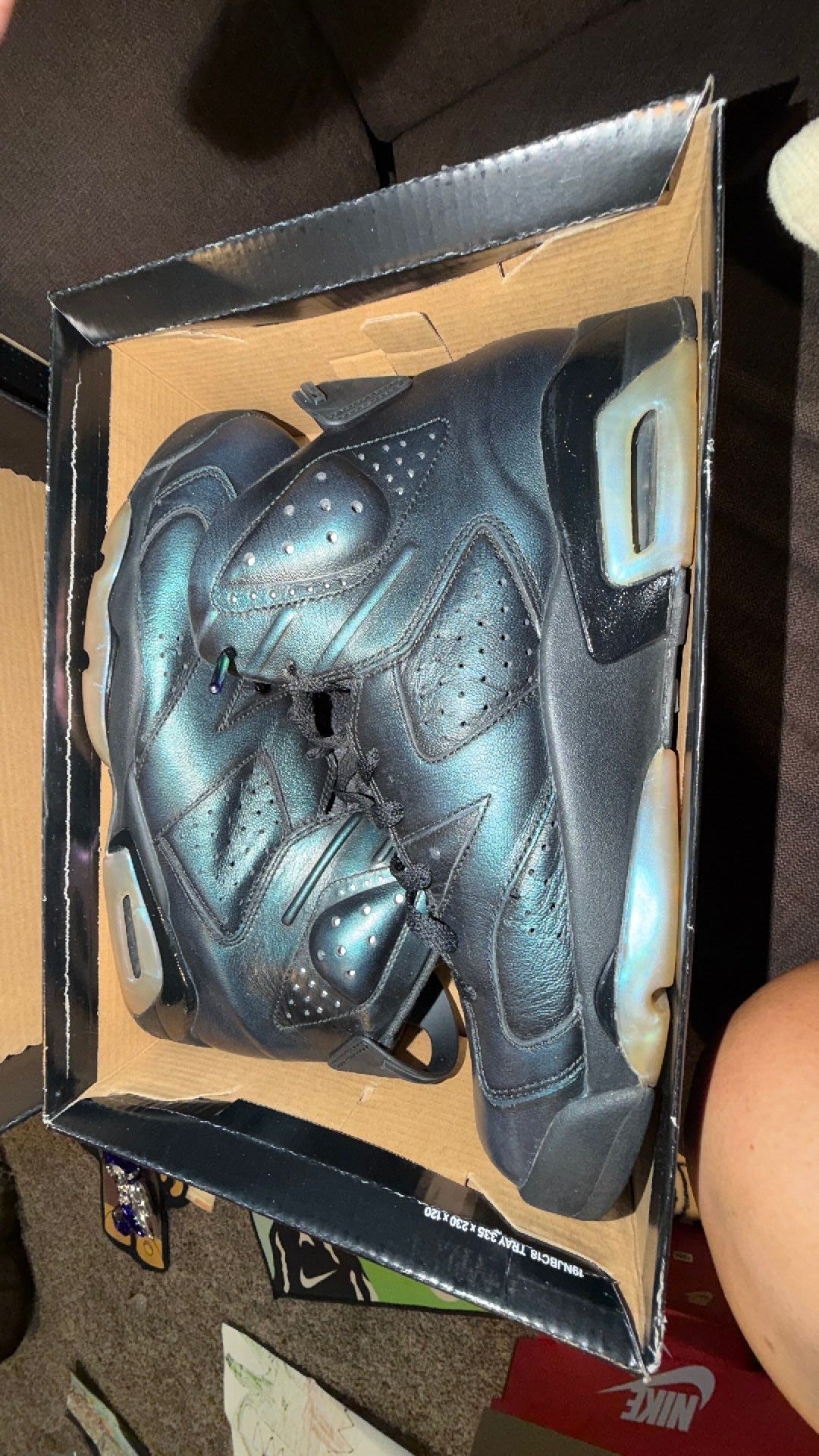 1404 Nike Air Jordan 6 Retro "Chameleon"