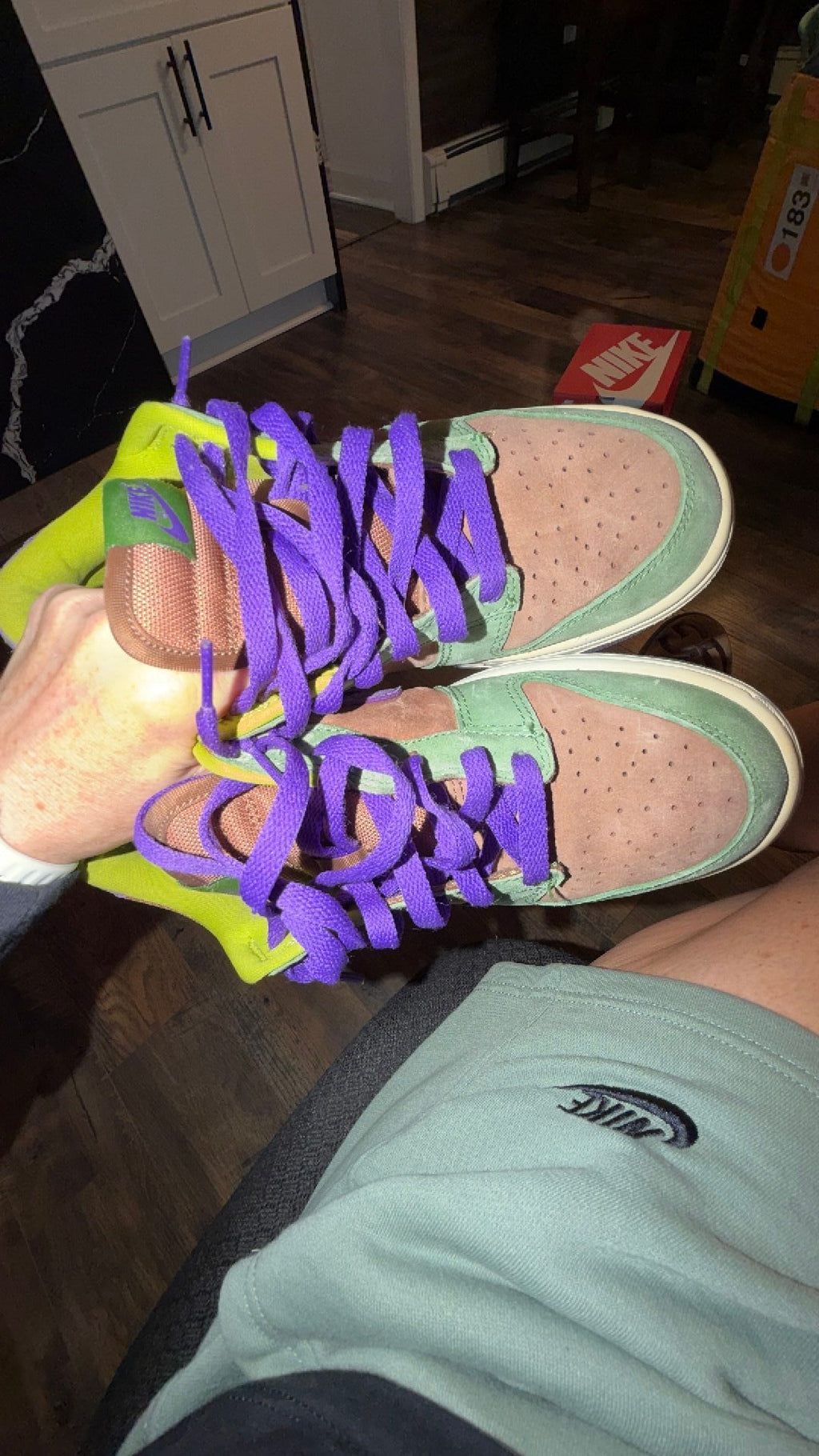 1809 Nike Dunk Low SP "Veneer