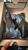 1521 LeBron 13 GS Summit lake hornet
