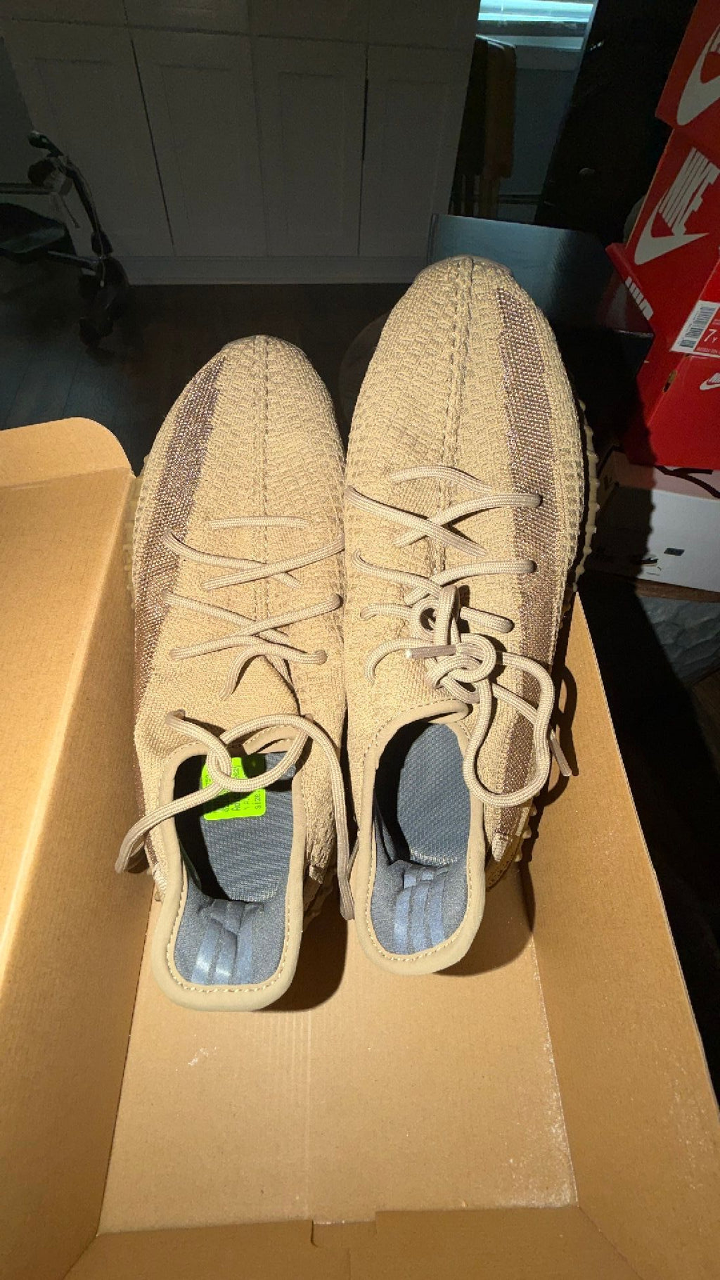 1631 Yeezy 350 “Earth”