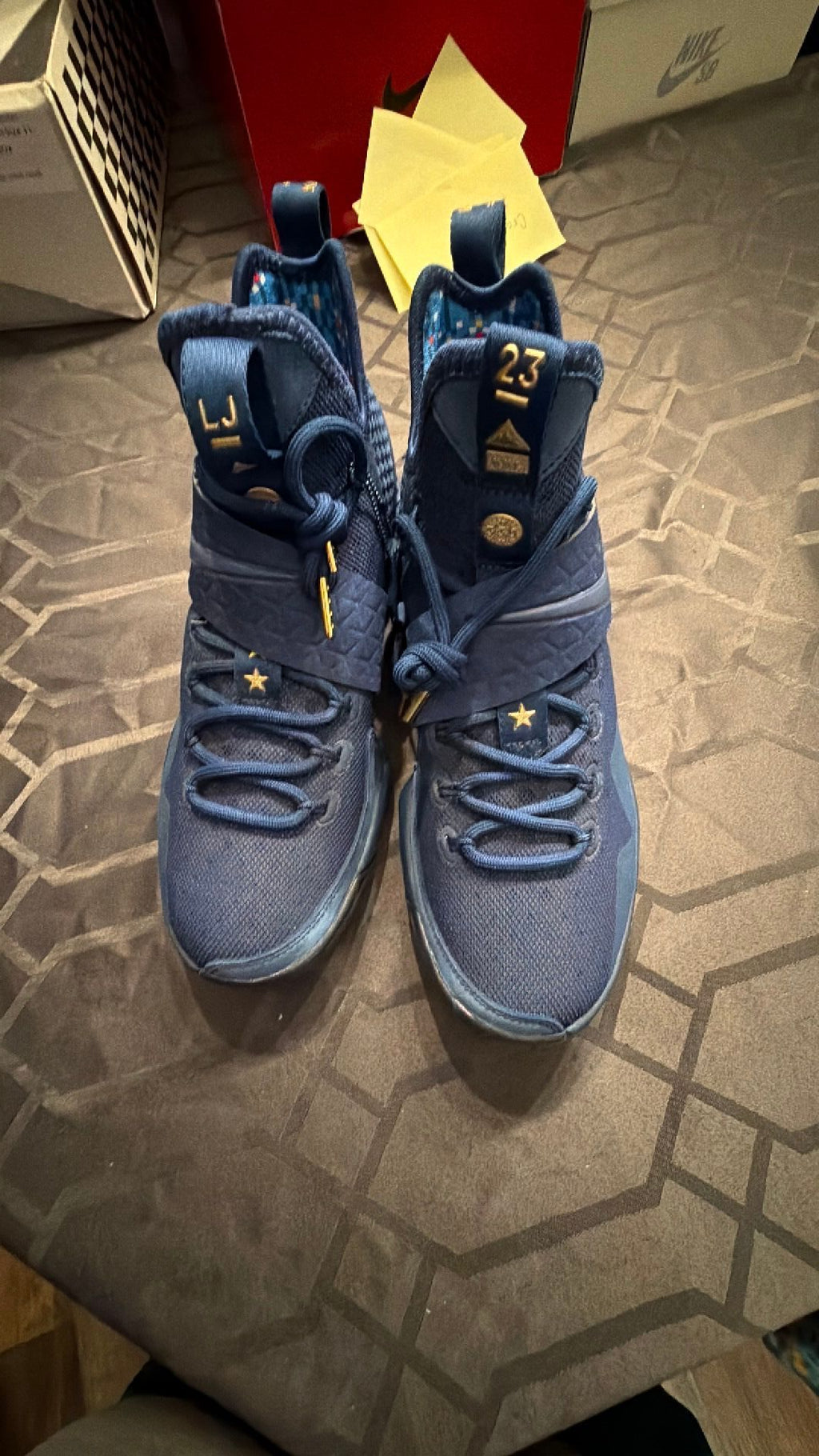 0074 LeBron 14 agimat