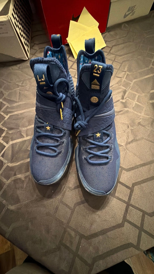 0074 LeBron 14 agimat
