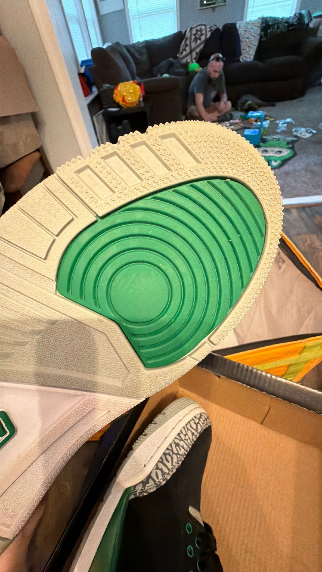 1410 Nike Air Jordan 3 Retro Pine Green 9m