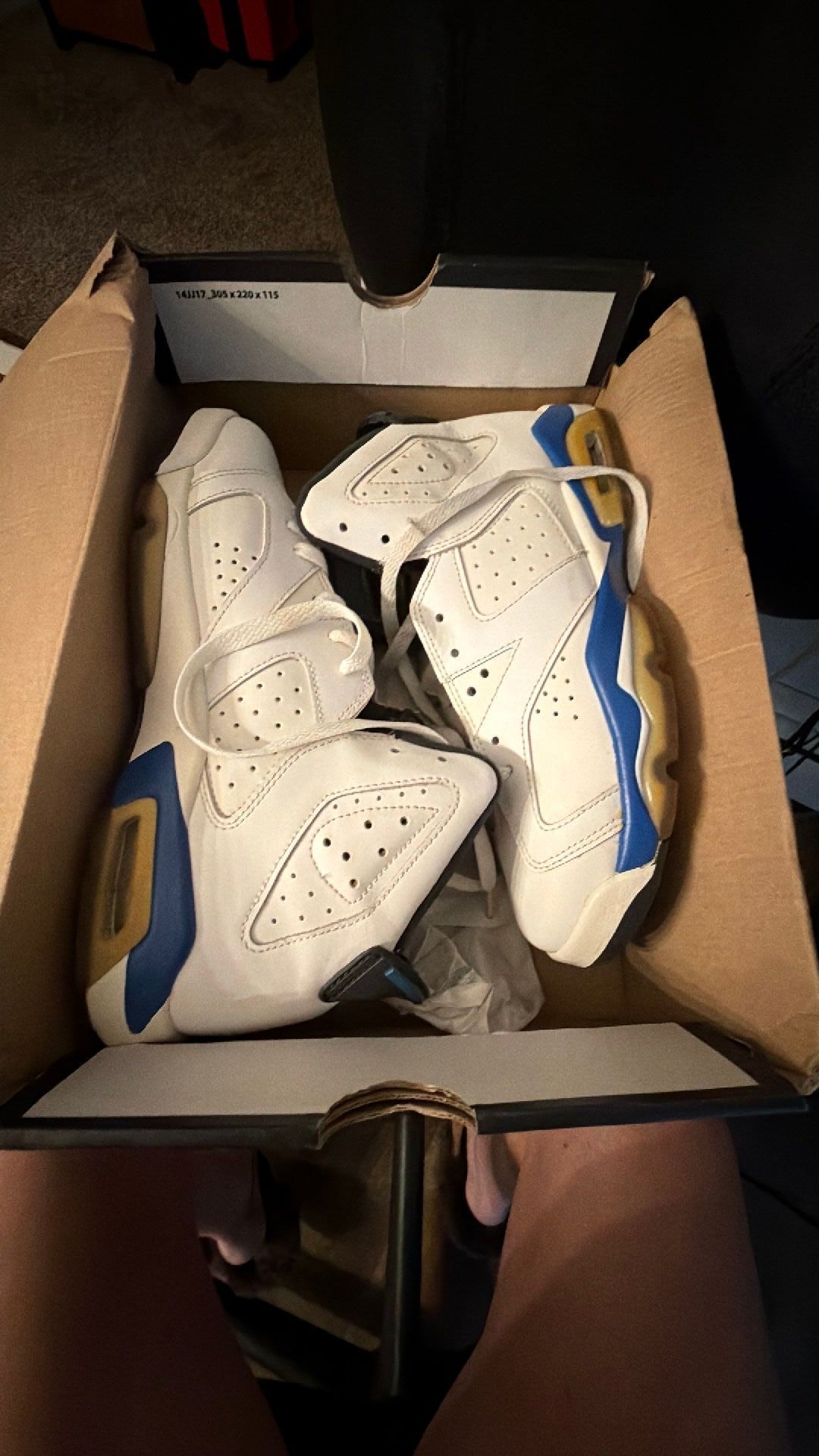 1866 Nike Air Jordan 6 Retro sneakers in the "Sport Blue"